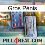 Gros Pénis 36